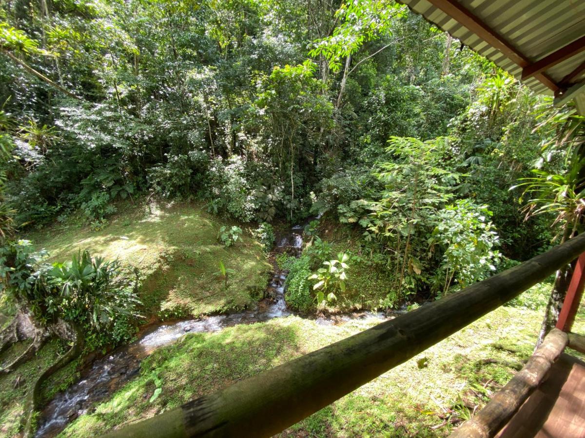 קפוס Esquipulas Rainforest מראה חיצוני תמונה